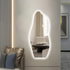 Spremium Asymmetrical Shaped LED Lighted Floor Mirror Irregular Wall Mirror Contemporary Decor Mirror for Interior Decoration