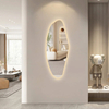 Irregular Free‑Form Wall Mounted LED Backlit Full‑Length Mirror Modern Decorative Standing Mirror With Touch Sensor for Living Room Home Decor